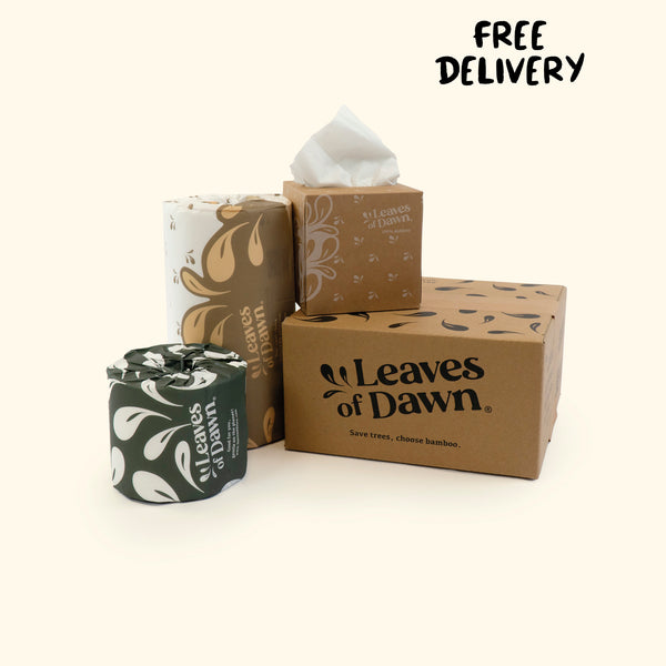 Sustainable Bamboo Paper Discovery Box